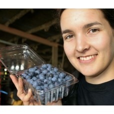 BLUEBERRIES  275 Gram Punnet Hastings Grown